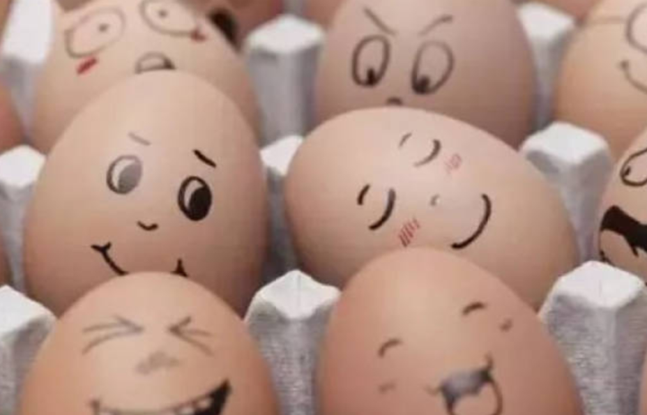 如何让鸡不发病，是实现“无抗”的关键